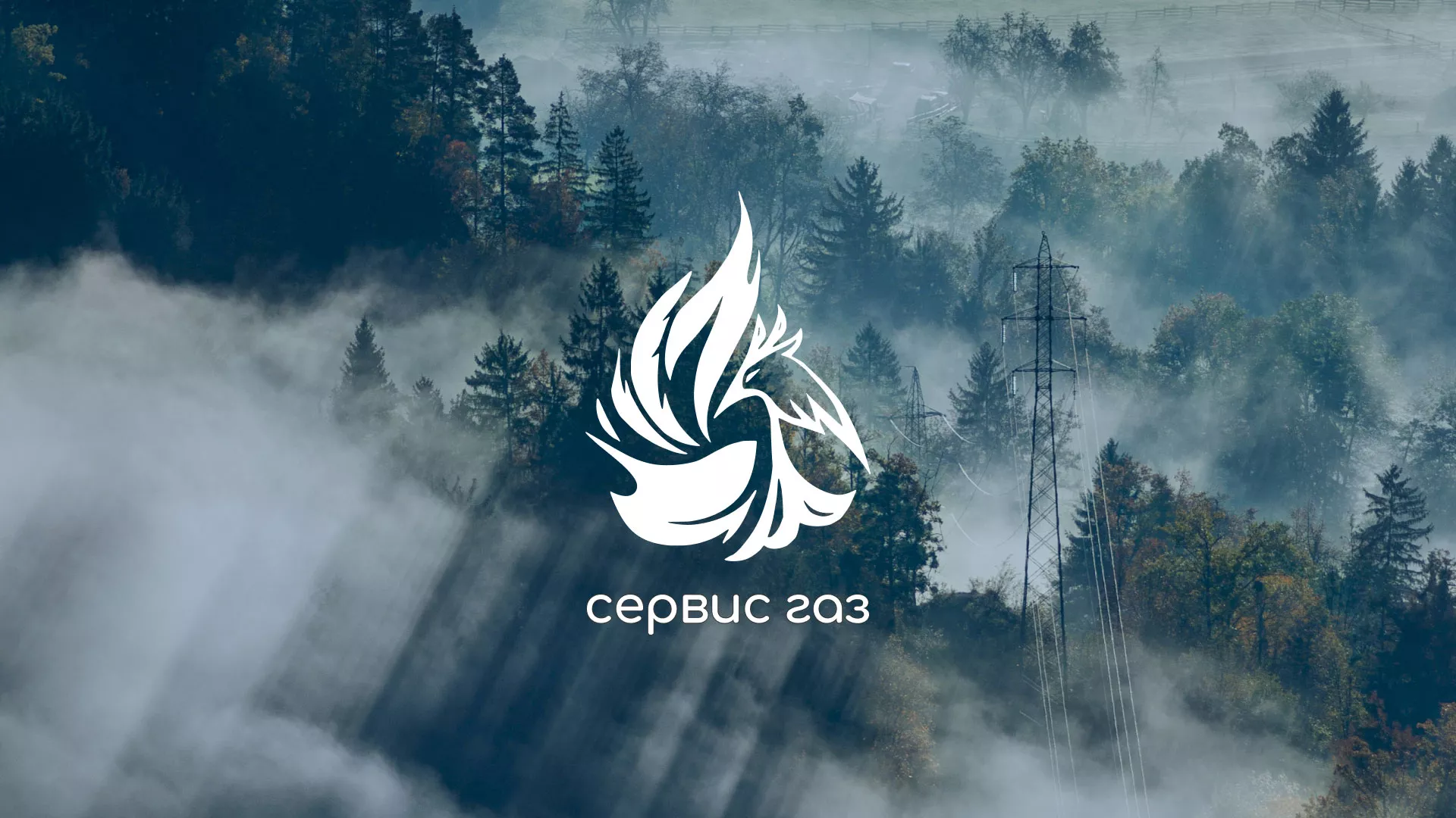 Создание сайта компании «Сервис газ» в Темникове