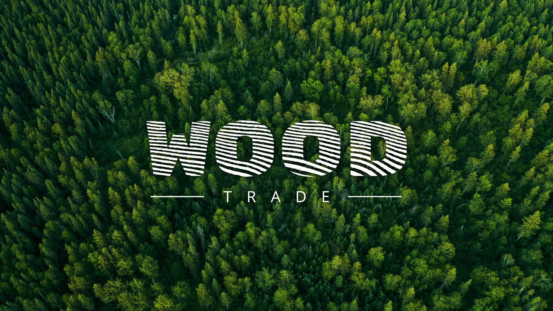 Разработка интернет-магазина компании «Wood Trade» в Темникове